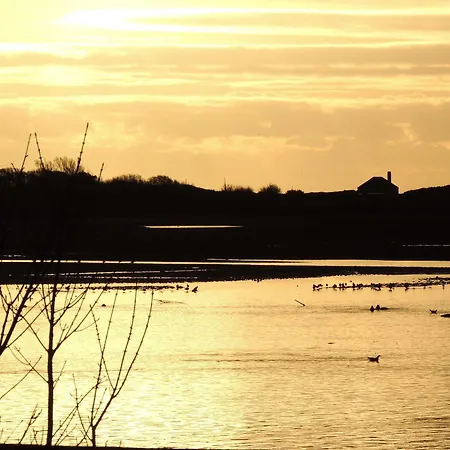 Otel Celtic Ross & Leisure Centre 4*