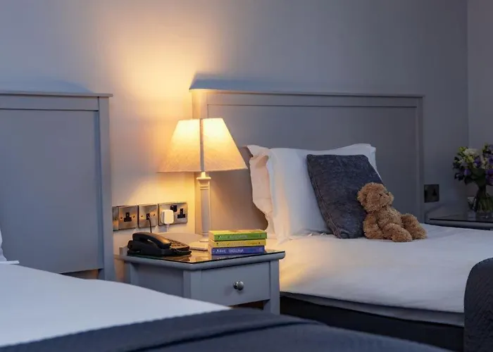 Hotel Celtic Ross & Leisure Centre 4*