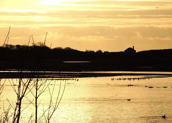 Отель Celtic Ross & Leisure Centre 4*